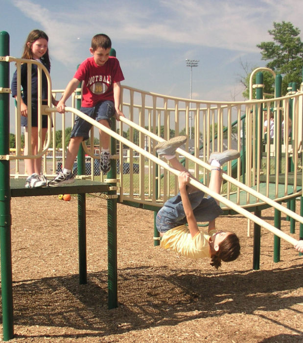 Dual Rail Banister Climber