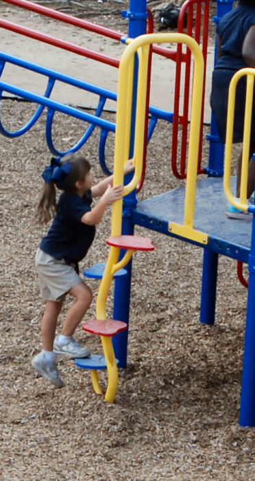 Beanstalk Playground Climber