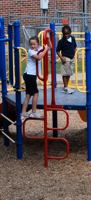 Vertical Snake Climber for Ages 2-12