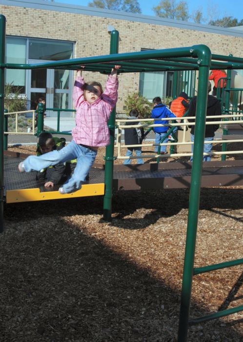 Tot Friendly Monkey Bars