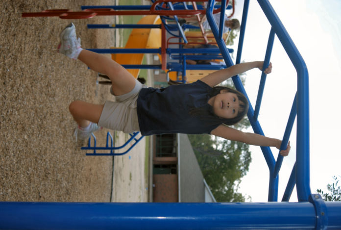 Up & Down Overhead Playground Ladder