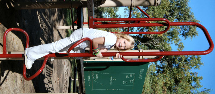 Wacky Playground Climber